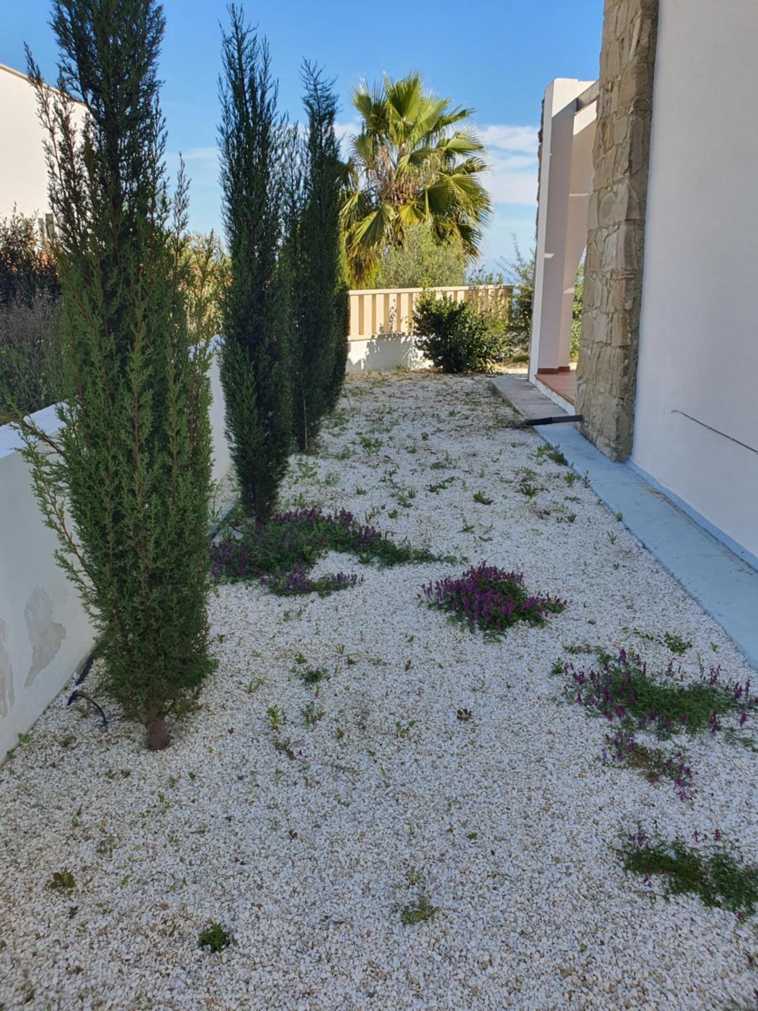 Villa Serapho Paphos ภายนอก รูปภาพ